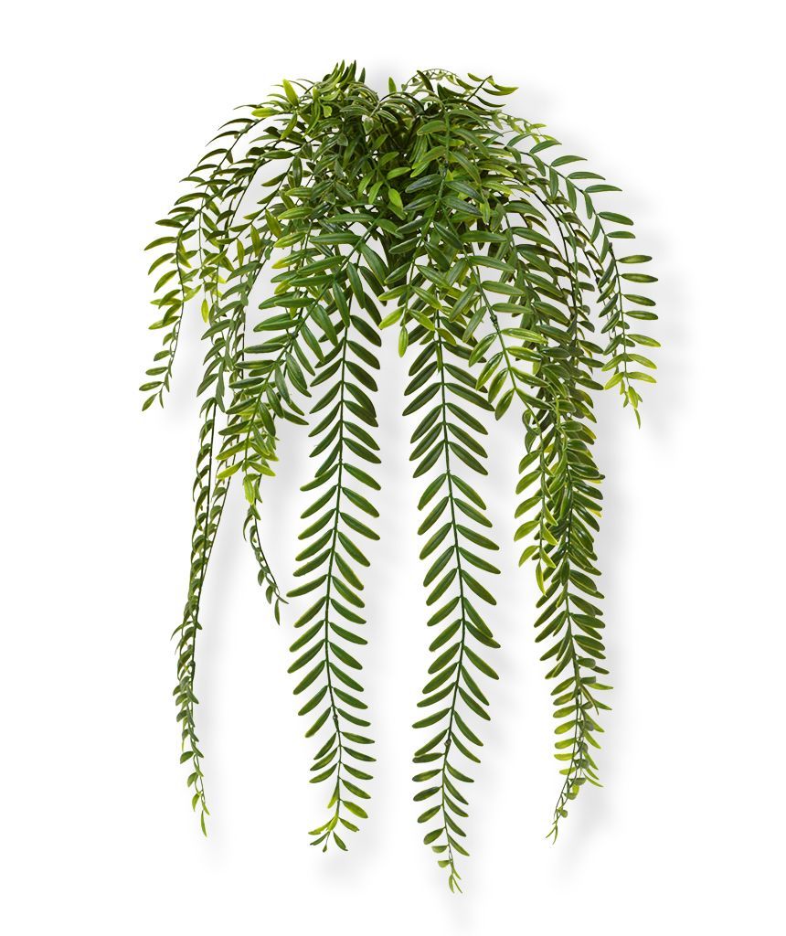 Columnea kunsthangplant 65 cm