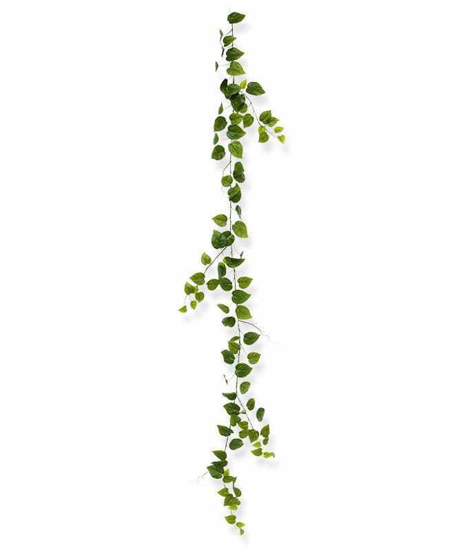 Philodendron Guirlande 180 cm