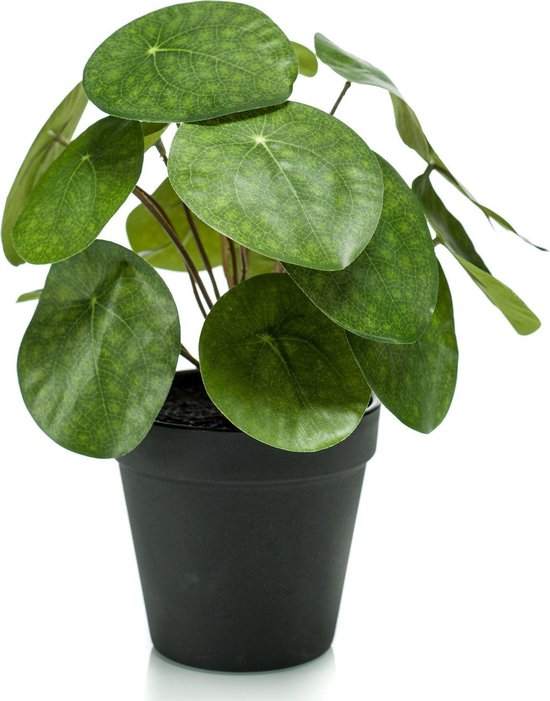 Kunst Pannenkoekplant in pot - Hoogte 20 cm