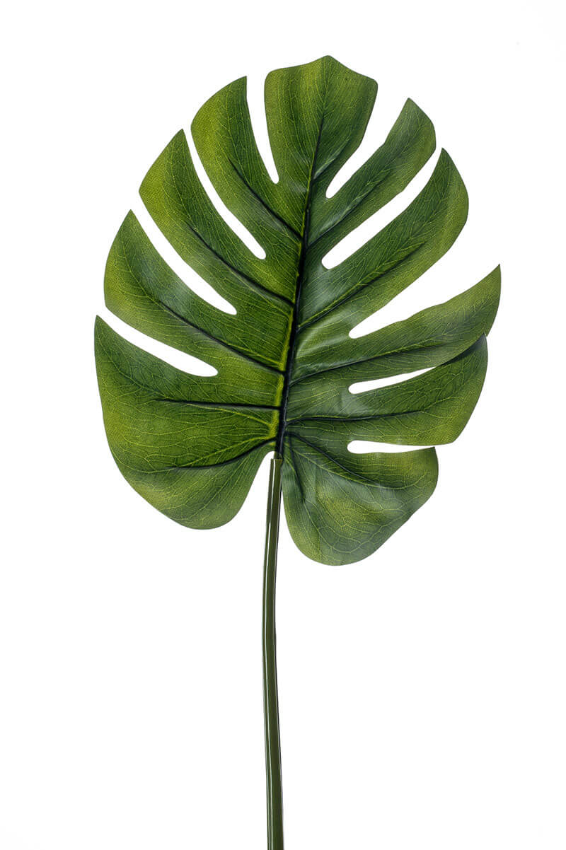 Monstera leaf green 75cm