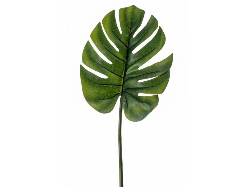 Monstera (Gatenplant) Blad 73 cm